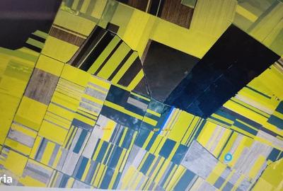 De Vanzare Teren 10.000mp Extravilan Investitie Afumati Ilfov acces facil - 2