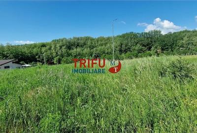 Teren de 1206 mp, în Ciugud - 8