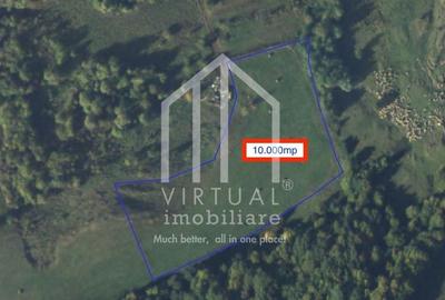 Teren extravilan de vanzare 15,600 mp zona loc... Hamba - 5