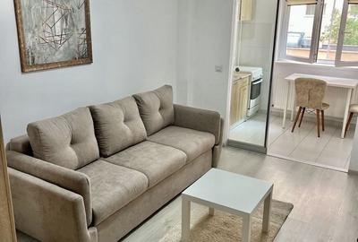 Garsonieră decomandată, mobilată în Theodor Pallady - 3