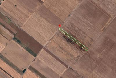 Teren Extravilan In Rate Primaverii Com. Berceni | 4819mp | #EG50 Teren Extravilan In Rate Primaverii Com. Berceni | 4819mp | #EG50 - 2