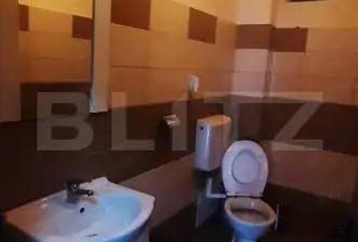Apartament 2 camere, 55 mp, zona Bulevardul Victoriei - 3