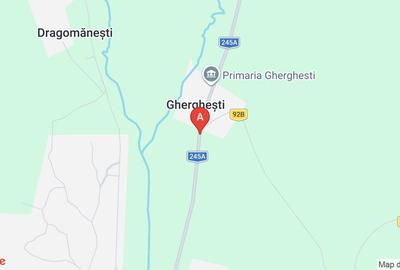 Teren extravilan de 32000 mp, în Gherghești - 1