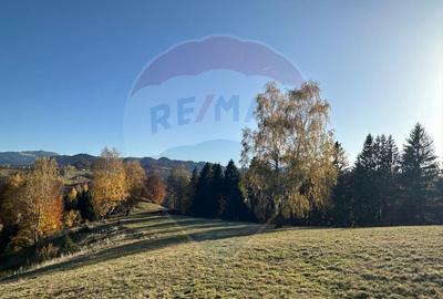 Oportunitate de investitie ! Teren de vis in Pestera - ... - 5