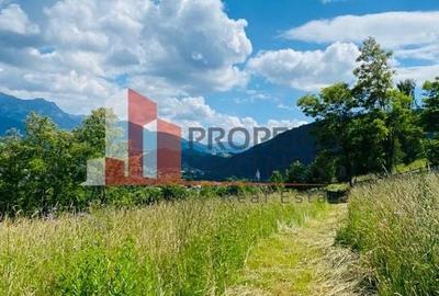 Vilă in Bran cu teren de 28.000 mp și priveliște spectaculoasa - 31