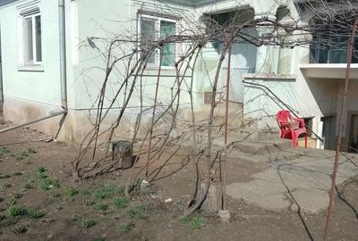 Casă cu Teren 1600 Mp în Cioroiași - 4