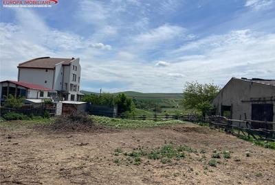 Teren de 1000 mp, în Babadag
