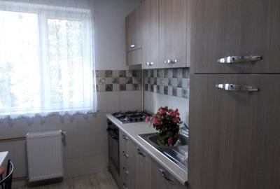 Apartament cu 2 camere semidecomandat, mobilat în Costin Georgian - 3