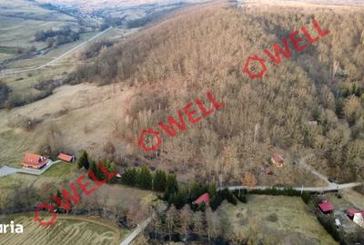 Teren de 16800 mp, în Bățani - 1