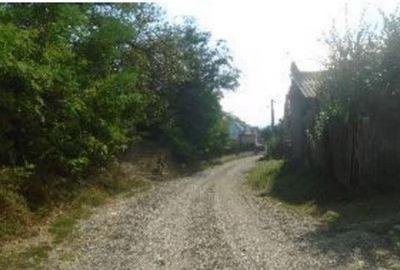 Casă cu 3 camere cu Teren 849 Mp în Viișoara (Vidra) - 3