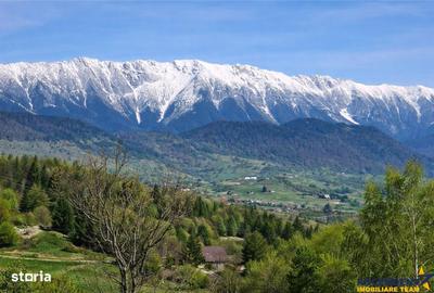 Teren de 6966 mp, în Fundata - 8