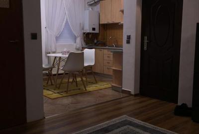 Garsonieră în Viișoara - 4