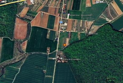 TEREN 500mp | langa Padurea Snagov | IZVORANI | LOCATIE DE VIS - 2