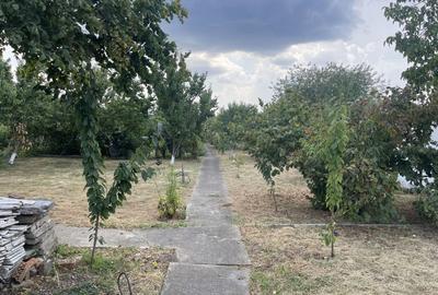 Casa | 9 camere | Garaj | Piscina | Teren 3.000 mp | Comision 0% - 44