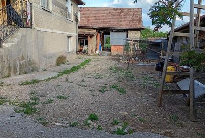 Casă cu 2 camere cu Teren 1400 Mp în Nădășelu - 4