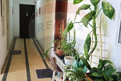 Vanzare Garsoniera Cismigiu Vanzare Garsoniera Cismigiu - 9