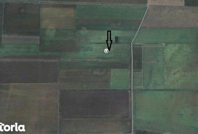 Teren de 1000 mp, în Central - 2