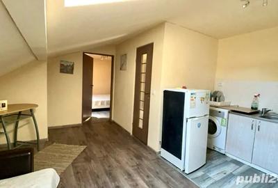 Apartament Elisabetin Balcescu Piata Maria Odobescu Politehnica UVT Medicina 2 Medicina 3 Central - 2