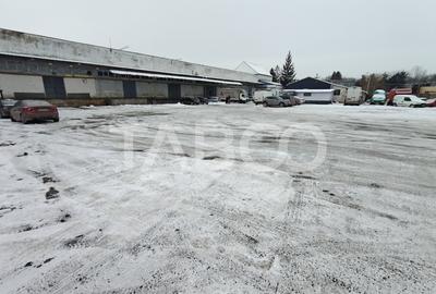 Spațiu industrial, de 800 mp, în Turnișor - 3