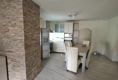 Sanandrei Central Casa 4 Camere - 4
