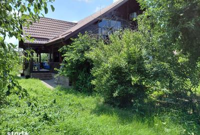 Casă cu 4 camere cu Teren 2000 Mp în Snagov - 15