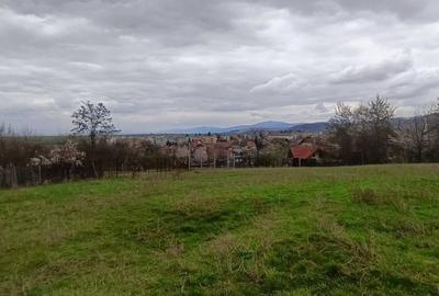 Teren in zona pitoreasca , usor accesibila , cu utilitati si panorama deosebita - 3