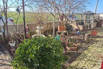 Casă individuală cu 6 camere cu Canalizare în Castelu - 15