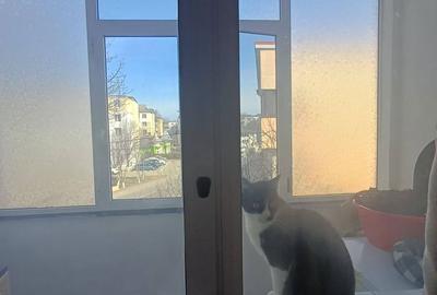 Apartament cu 2 camere în Central - 4