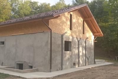 Casa Iedera de Sus | Dambovita - 4