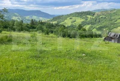 Teren de 20000 mp, în Central - 7