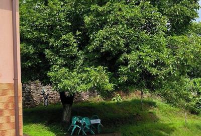 Casă cu 3 camere în Griviței - 1