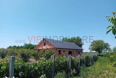 Teren de 16000 mp, în Belinț - 3