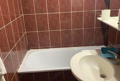 Inchiriere apartament cu o camera in zona Umt - 2