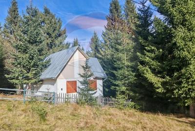 Cabana in Muntele Baisorii - Zona Mera - 2