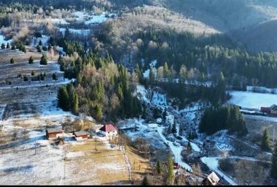 Casă cu 3 camere în Vidra - 1