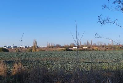 TEREN INTRAVILAN, 1800 mp langa Hornbach - 5