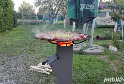 Casă cu 11 camere cu Teren 2200 Mp în Crișan - 14