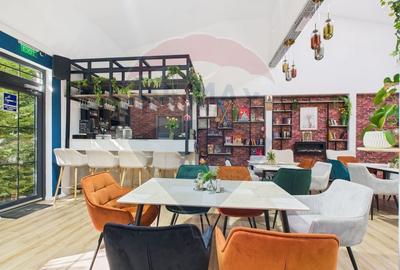 Spatiu comercial /Restaurant cu terasa superba in comuna Berceni - 3