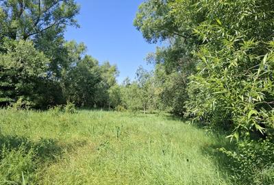 Spațiu comercial, în Ghirdoveni - 5