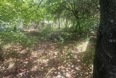 Teren de 1113 mp si casa batraneasca in comuna Mihaesti jude?ul Valcea - 6