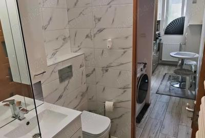 Garsoniera 32 mp Bartolomeu Lanii - 2