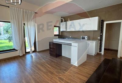 Vila deosebita de inchiriat in zona lini?tita - 11