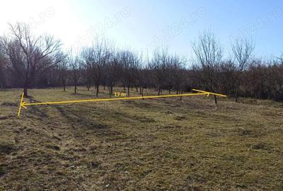 Teren de 2800 mp, în Gura Vitioarei