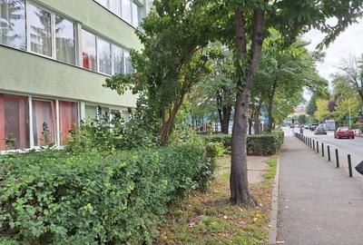 SENZI IMOBILIARE – OFERTĂ SPECIALĂ DE VÂNZARE - 8