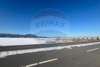 Teren intravilan de 7692 mp, în Uzina 2 - 3