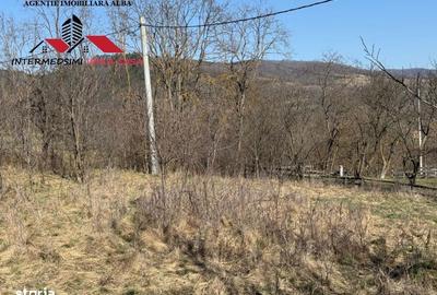 Casă cu 4 camere în Pârău lui Mihai - 12