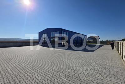 Hala industriala noua diverse destinatii de inchiriat in Sebes - 3