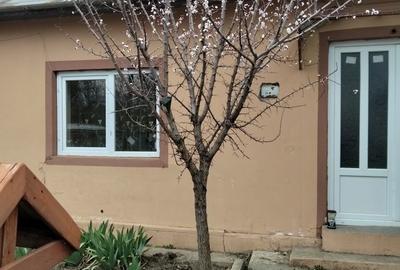 Casă cu 4 camere în Ghizdaru - 4