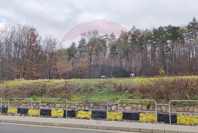 Oportunitate investi?ie B. Felix teren intravilan cu PUZ... - 9