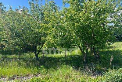 Spațiu comercial, în Borhanci - 4